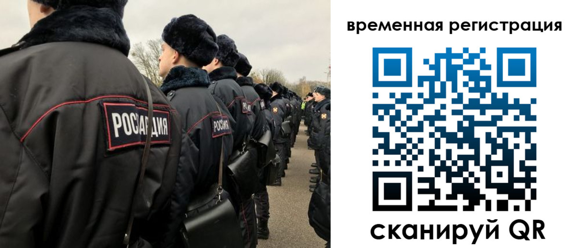 прописка гарантия в Кудрово